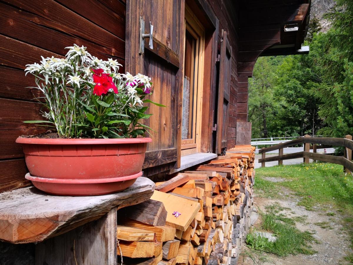 Maisongorret Valtournenche Exterior photo